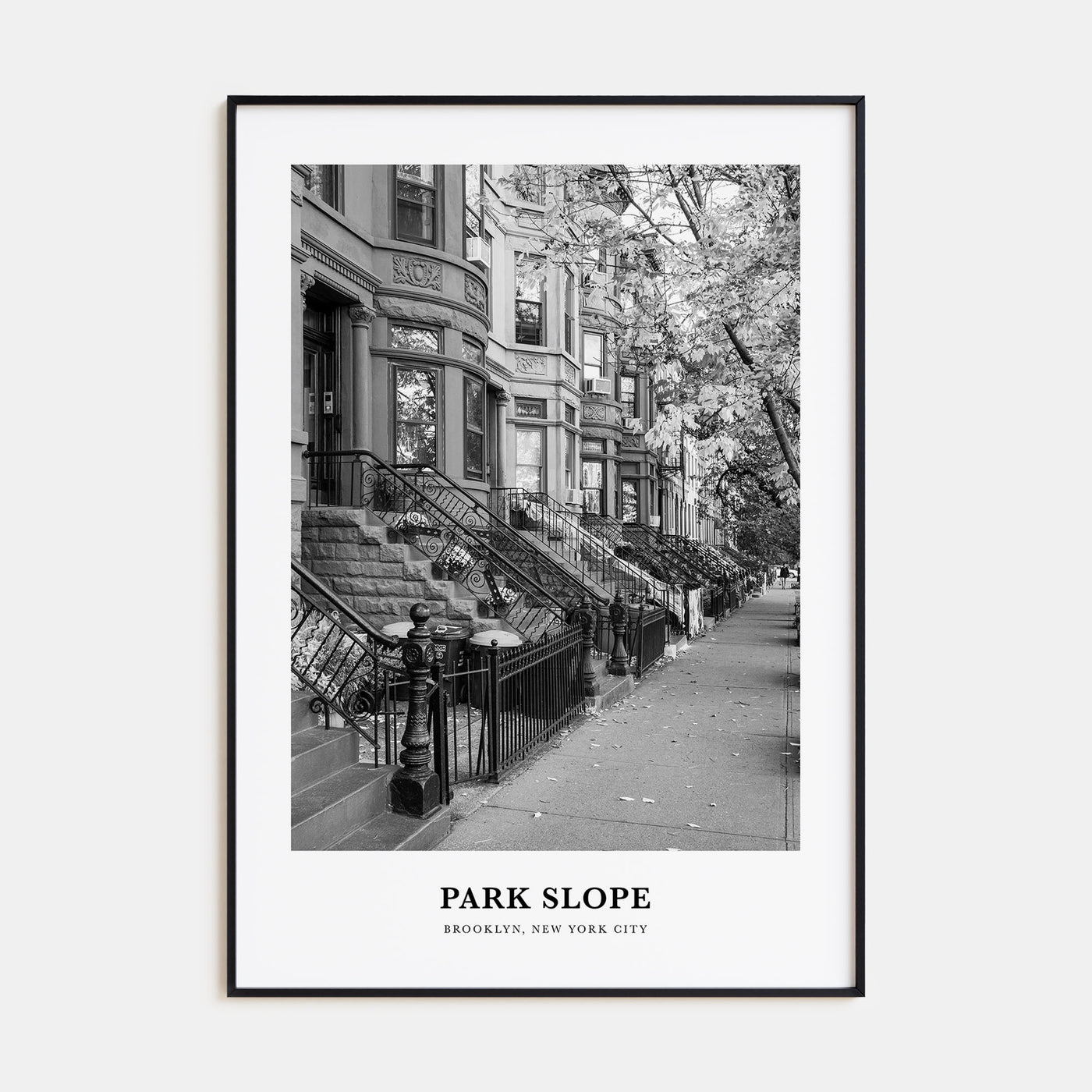 Park Slope Portrait B&W Poster
