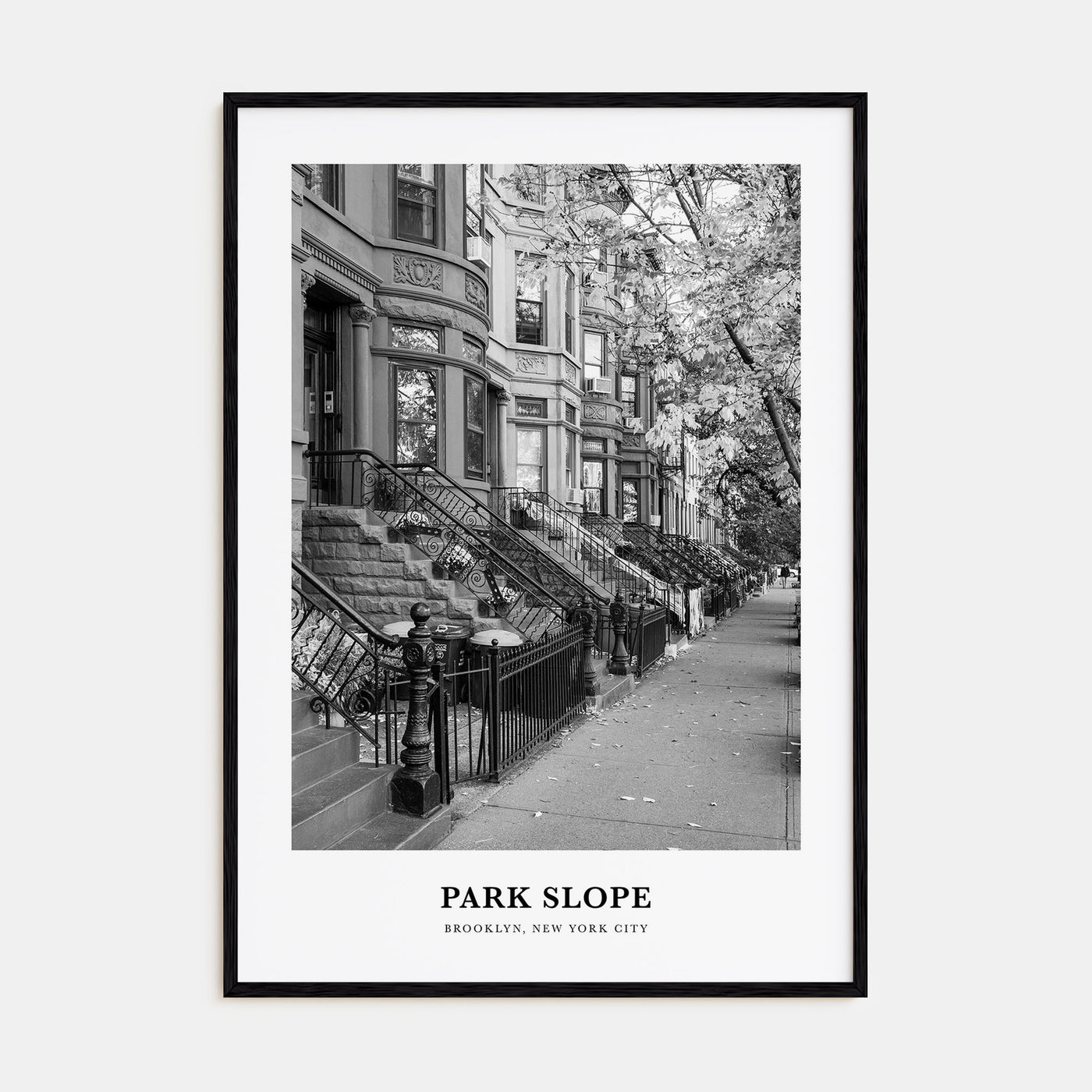 Park Slope Portrait B&W Poster