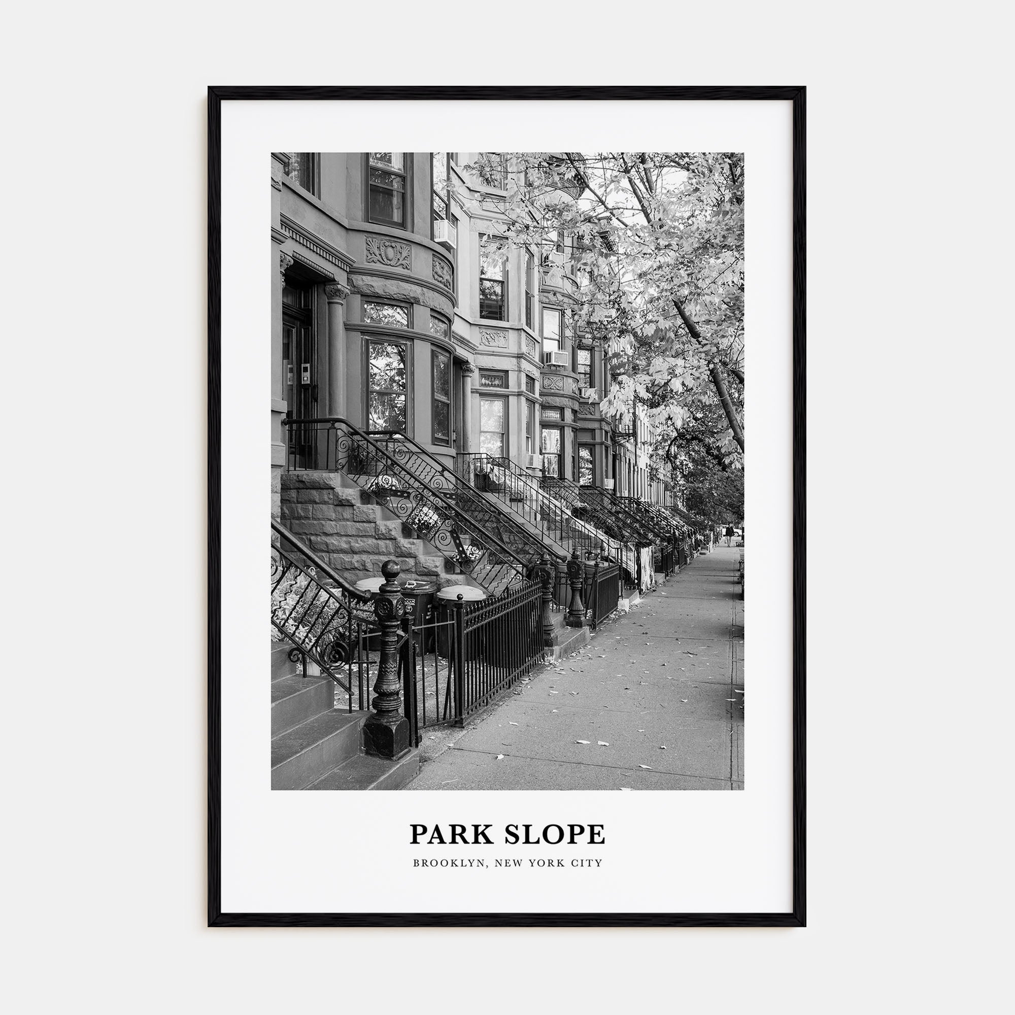 Park Slope Portrait B&W Poster