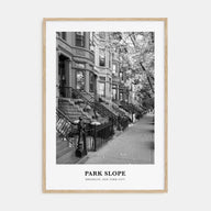 Park Slope Portrait B&W Poster