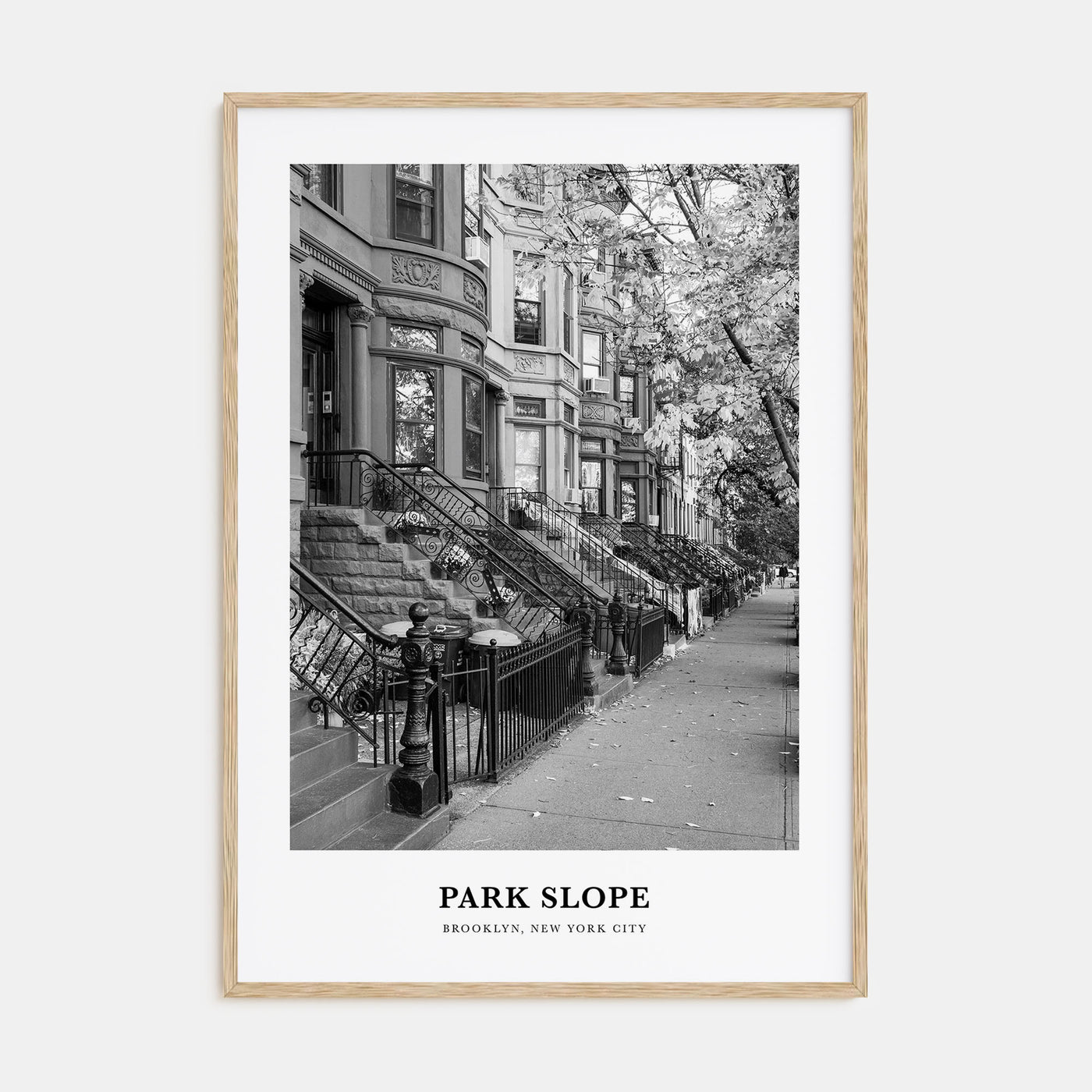 Park Slope Portrait B&W Poster
