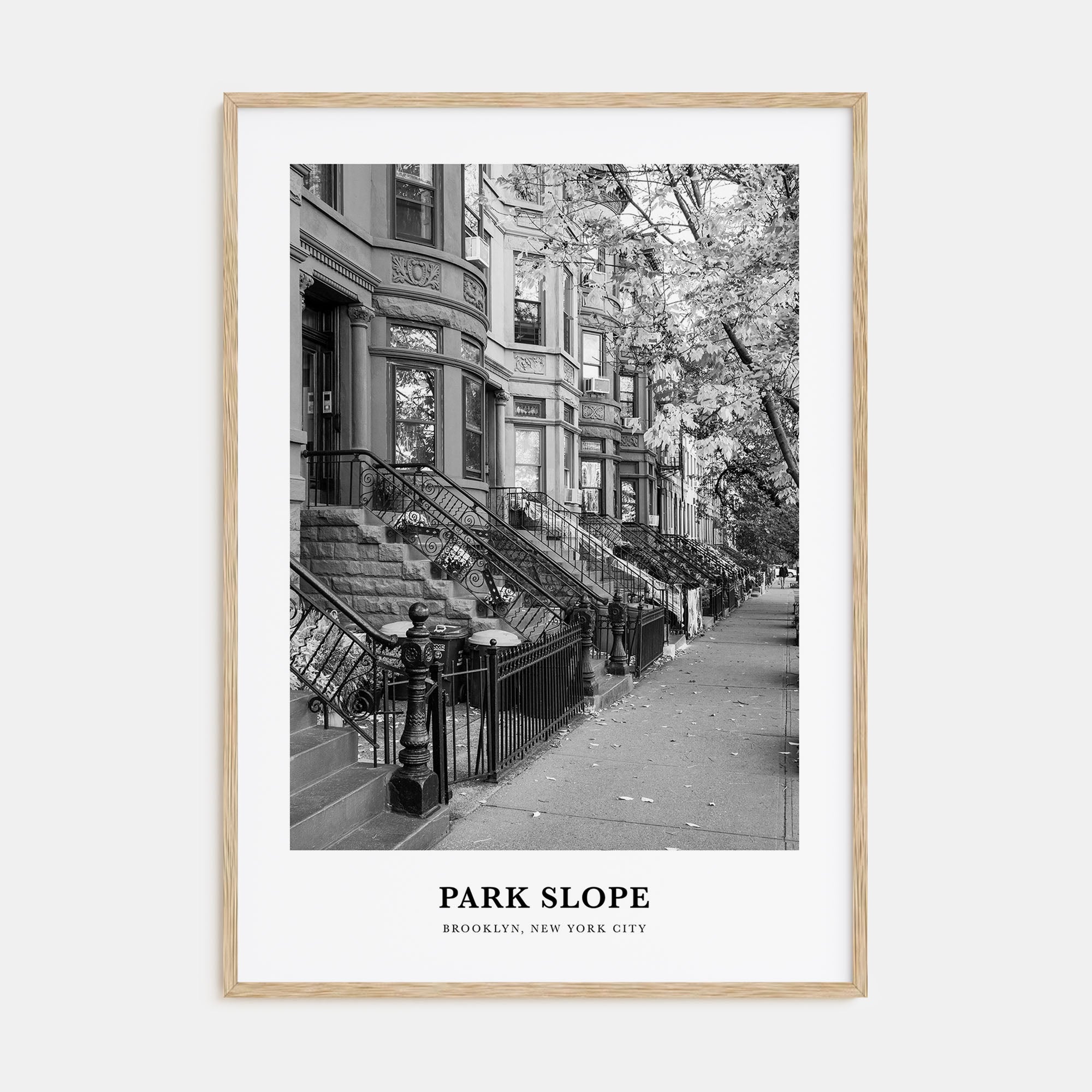 Park Slope Portrait B&W Poster