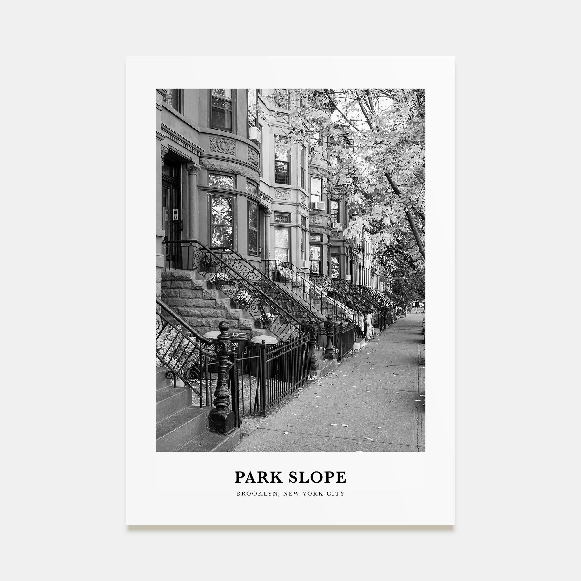Park Slope Portrait B&W Poster