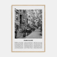 Park Slope Travel B&W Poster