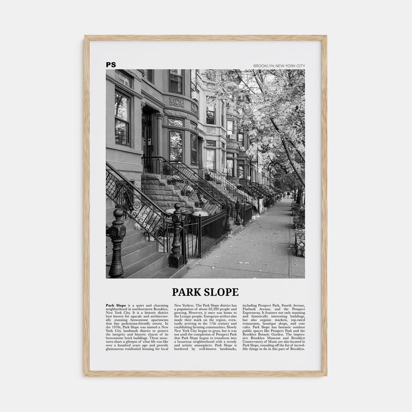 Park Slope Travel B&W Poster