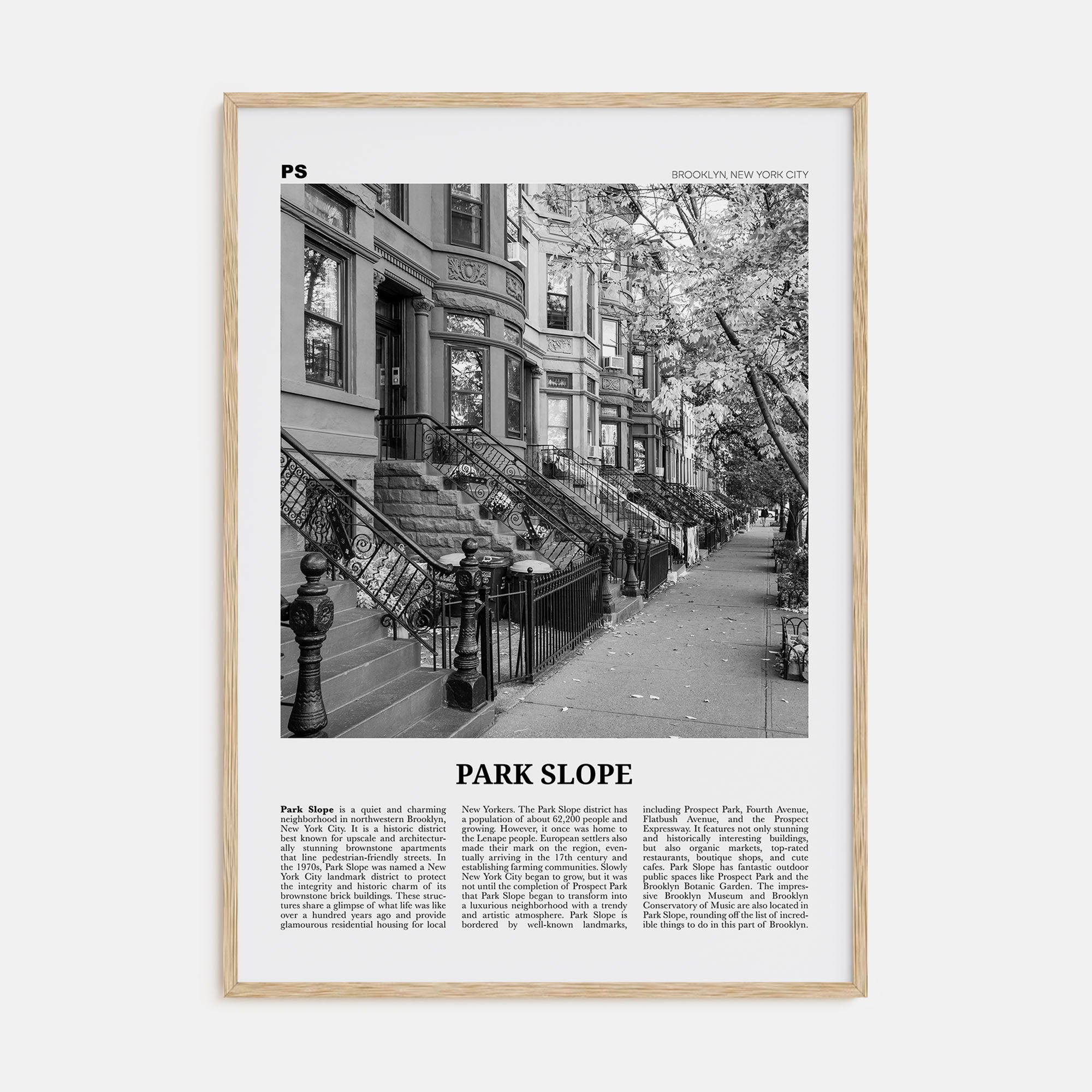 Park Slope Travel B&W Poster