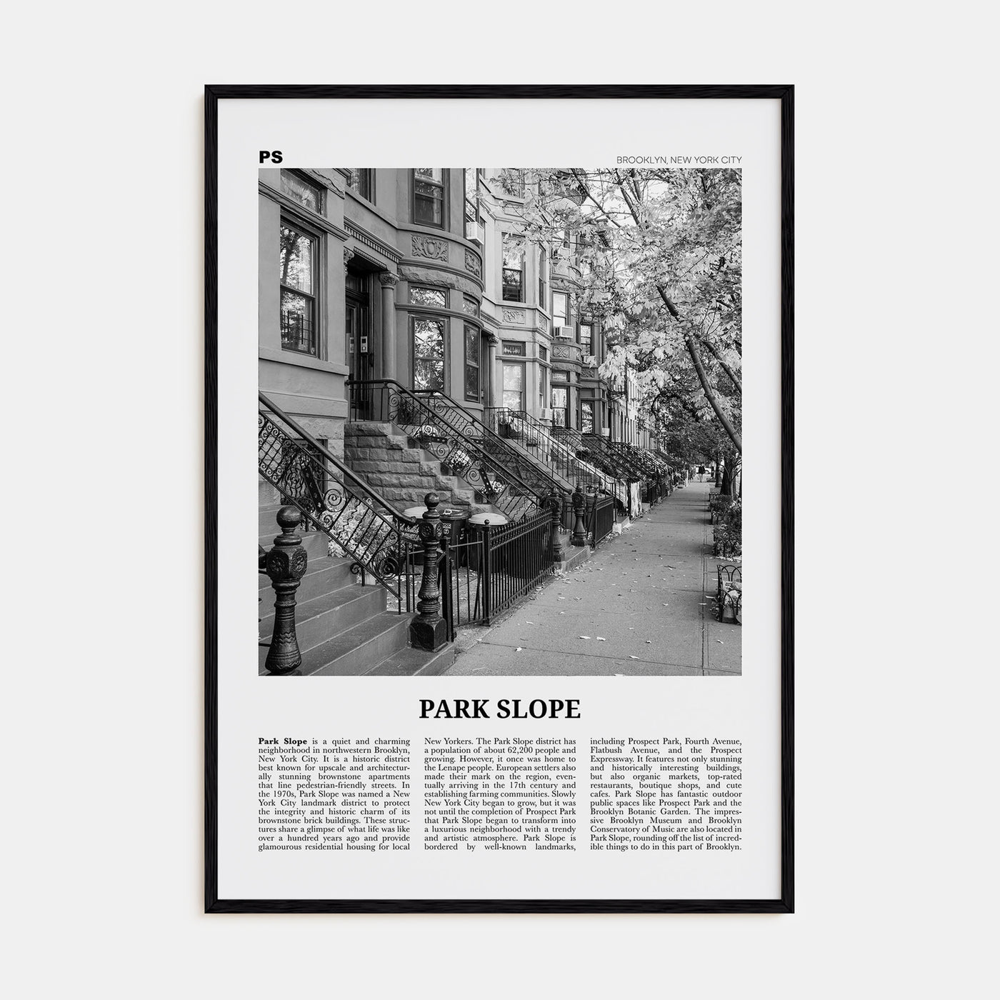 Park Slope Travel B&W Poster
