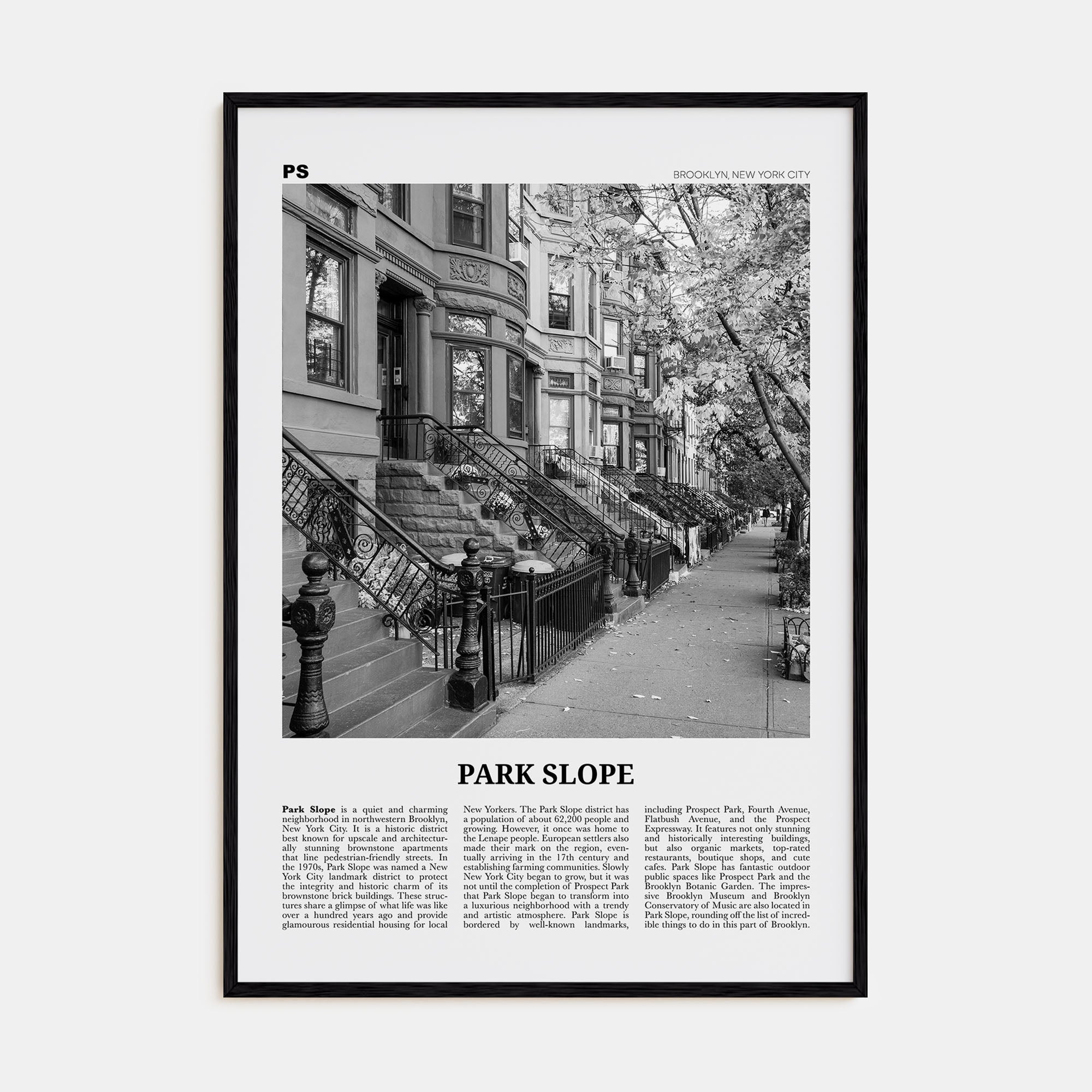 Park Slope Travel B&W Poster