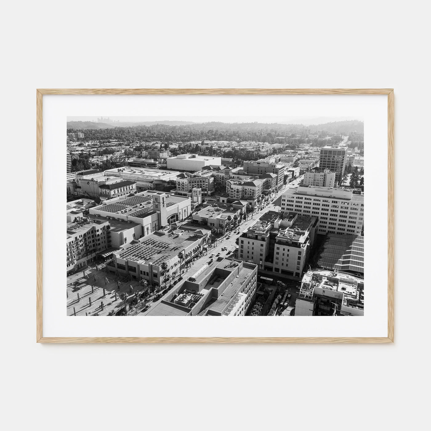 Pasadena Landscape B&W Poster