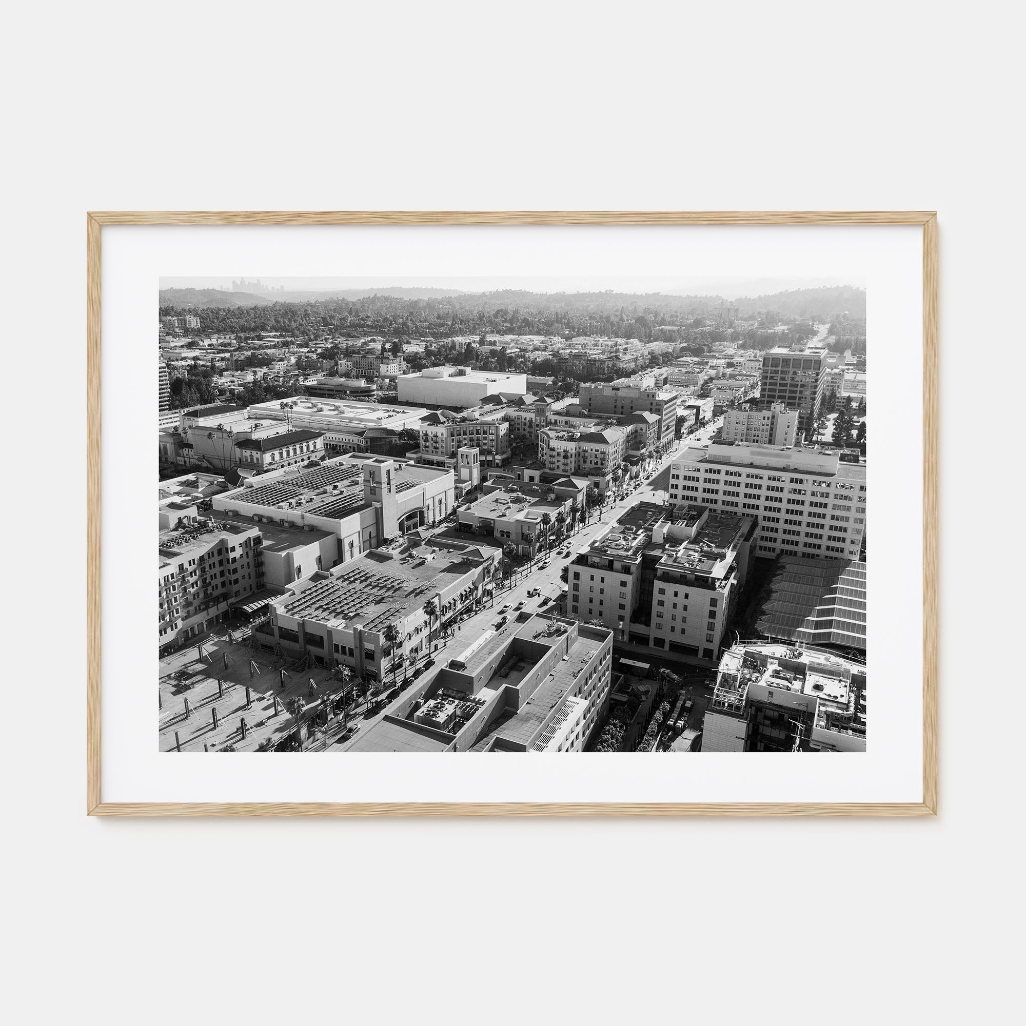 Pasadena Landscape B&W Poster