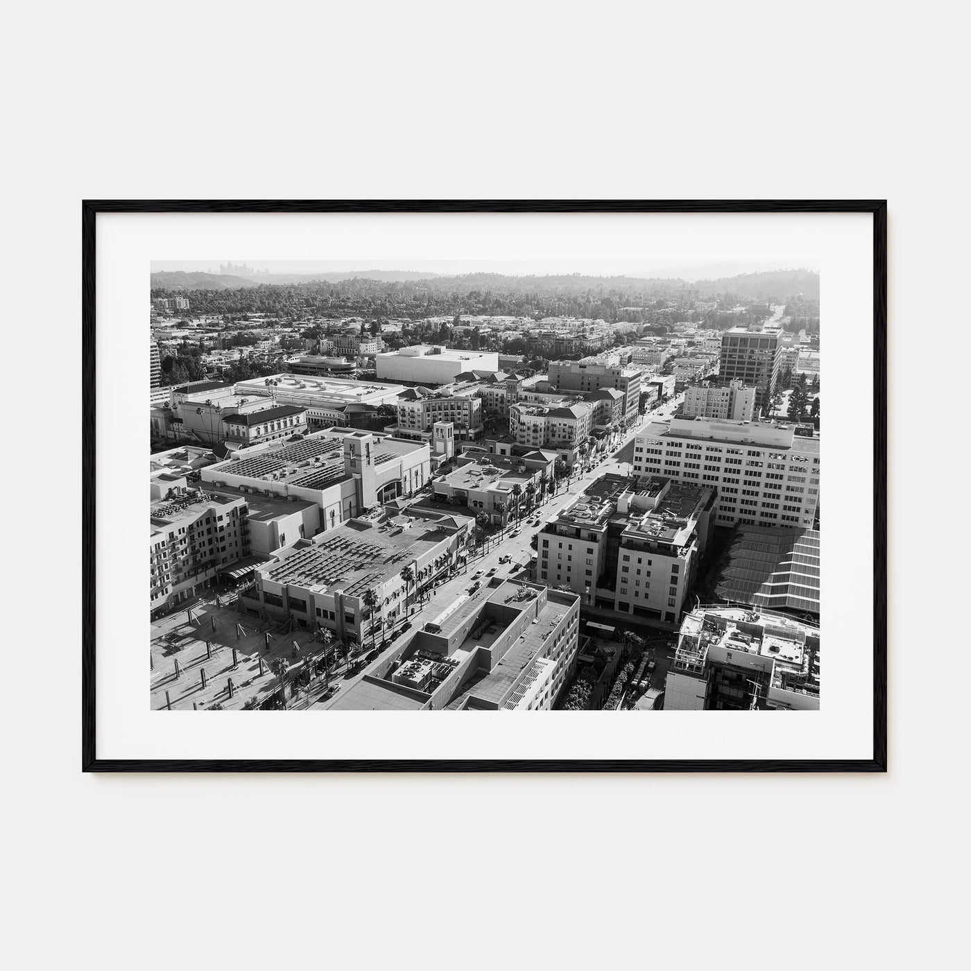 Pasadena Landscape B&W Poster