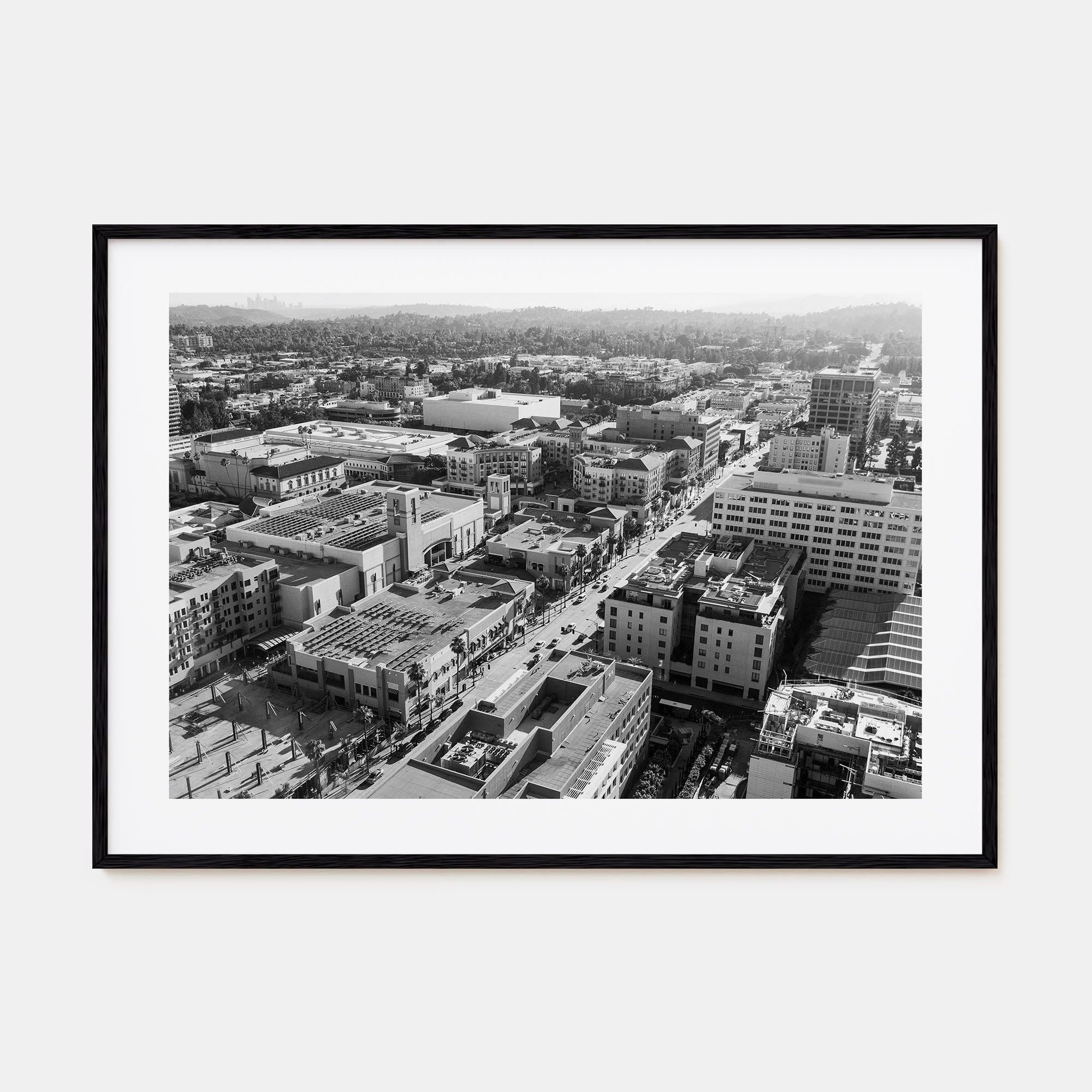 Pasadena Landscape B&W Poster