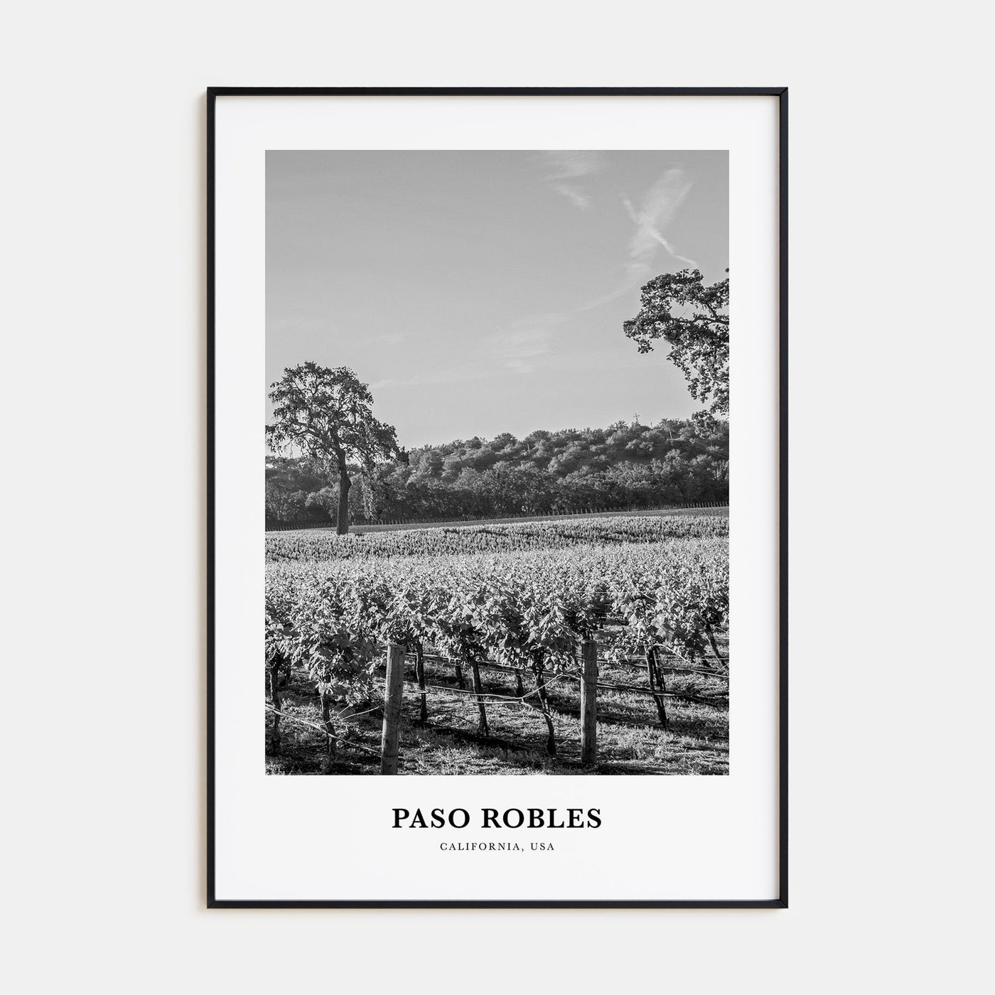Paso Robles Portrait B&W Poster