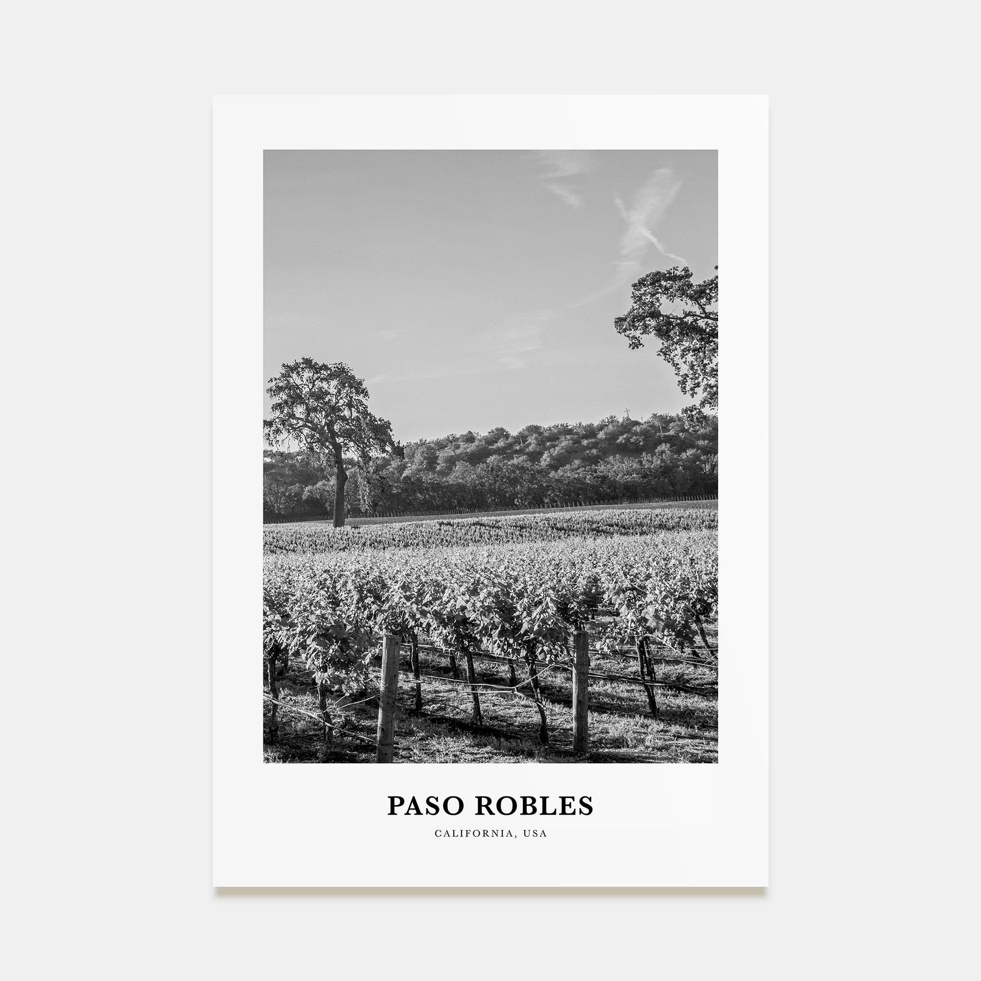 Paso Robles Portrait B&W Poster
