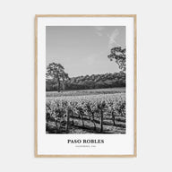 Paso Robles Portrait B&W Poster