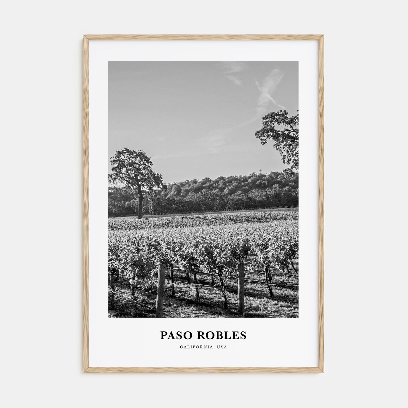 Paso Robles Portrait B&W Poster
