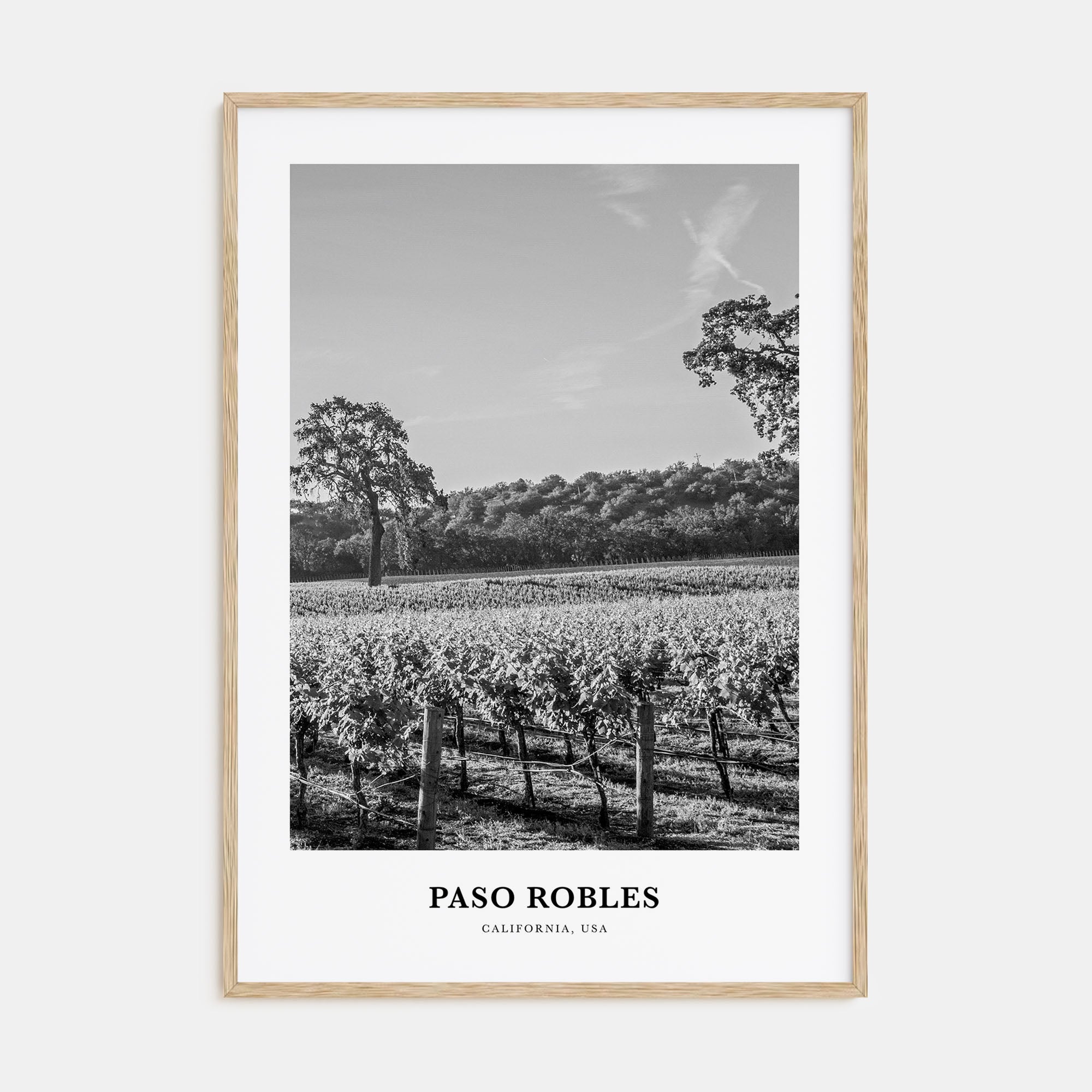 Paso Robles Portrait B&W Poster