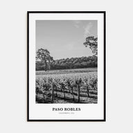 Paso Robles Portrait B&W Poster
