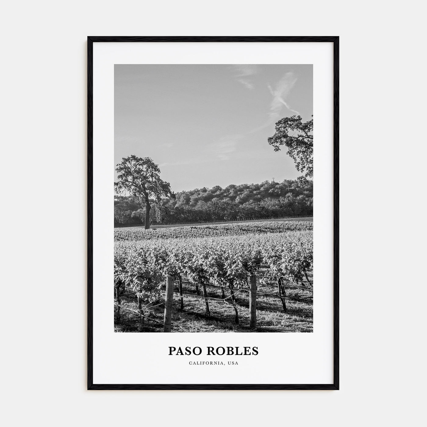 Paso Robles Portrait B&W Poster