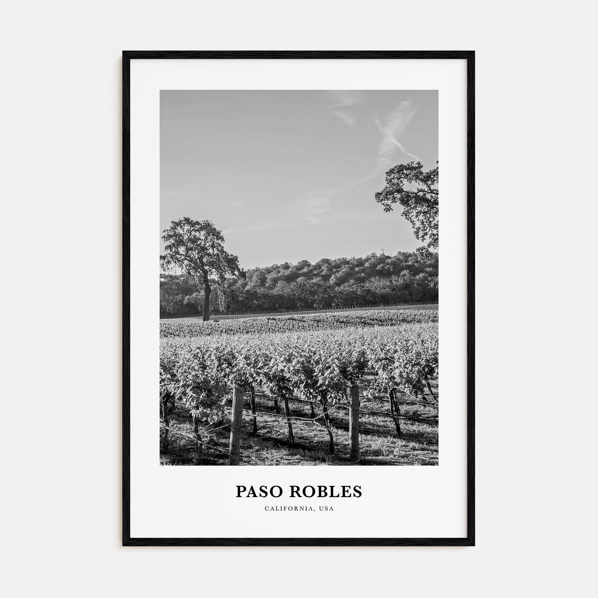 Paso Robles Portrait B&W Poster