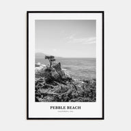 Pebble Beach Portrait B&W Poster