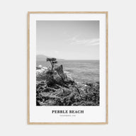 Pebble Beach Portrait B&W Poster