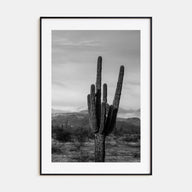Phoenix Photo B&W No 1 Poster