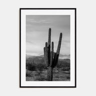 Phoenix Photo B&W No 1 Poster