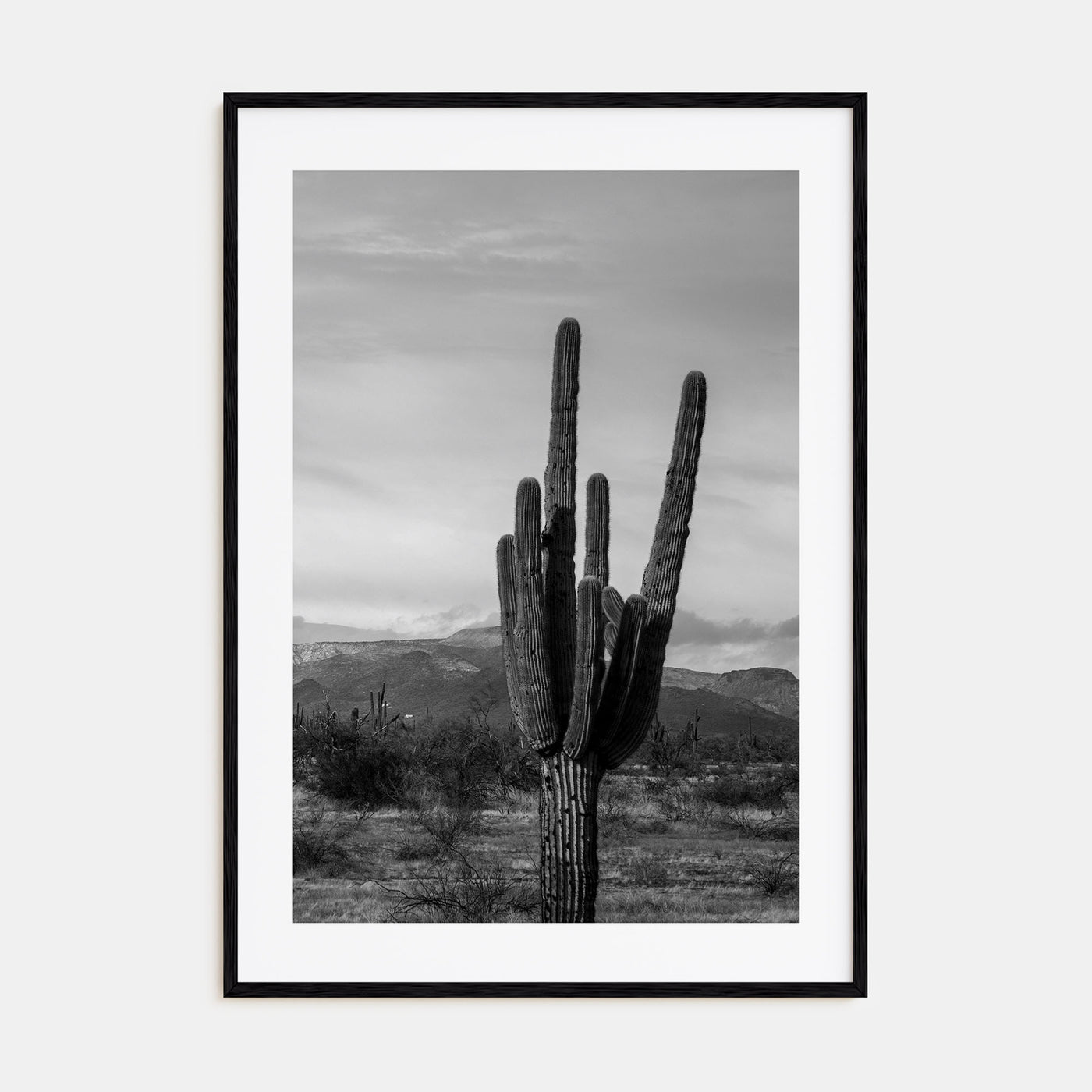 Phoenix Photo B&W No 1 Poster