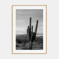 Phoenix Photo B&W No 1 Poster