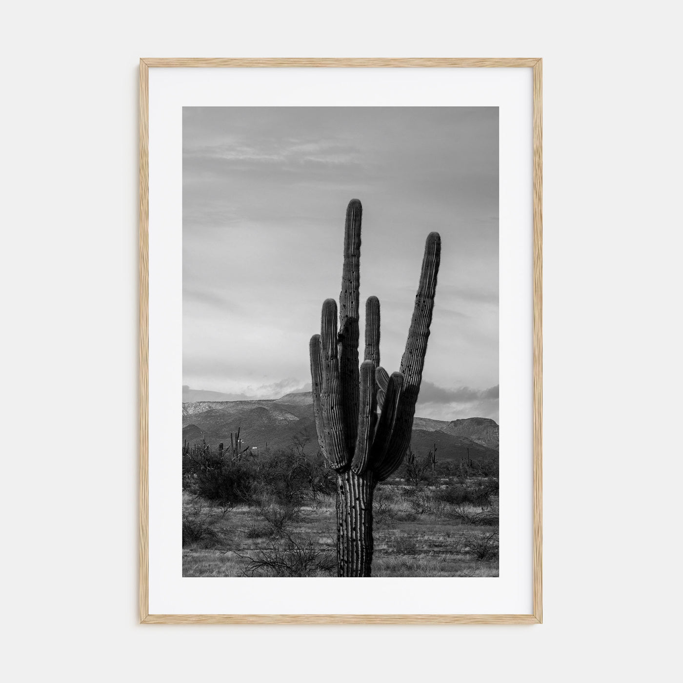 Phoenix Photo B&W No 1 Poster