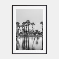 Phoenix Photo B&W No 2 Poster