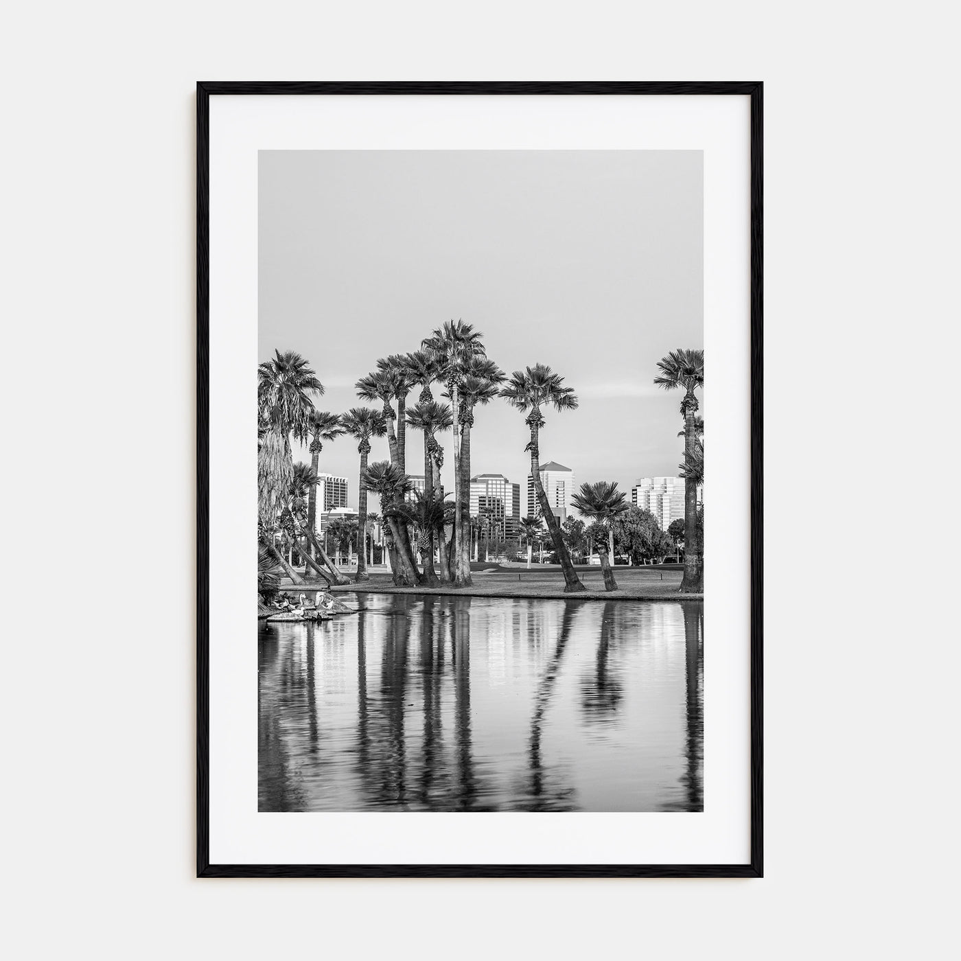 Phoenix Photo B&W No 2 Poster