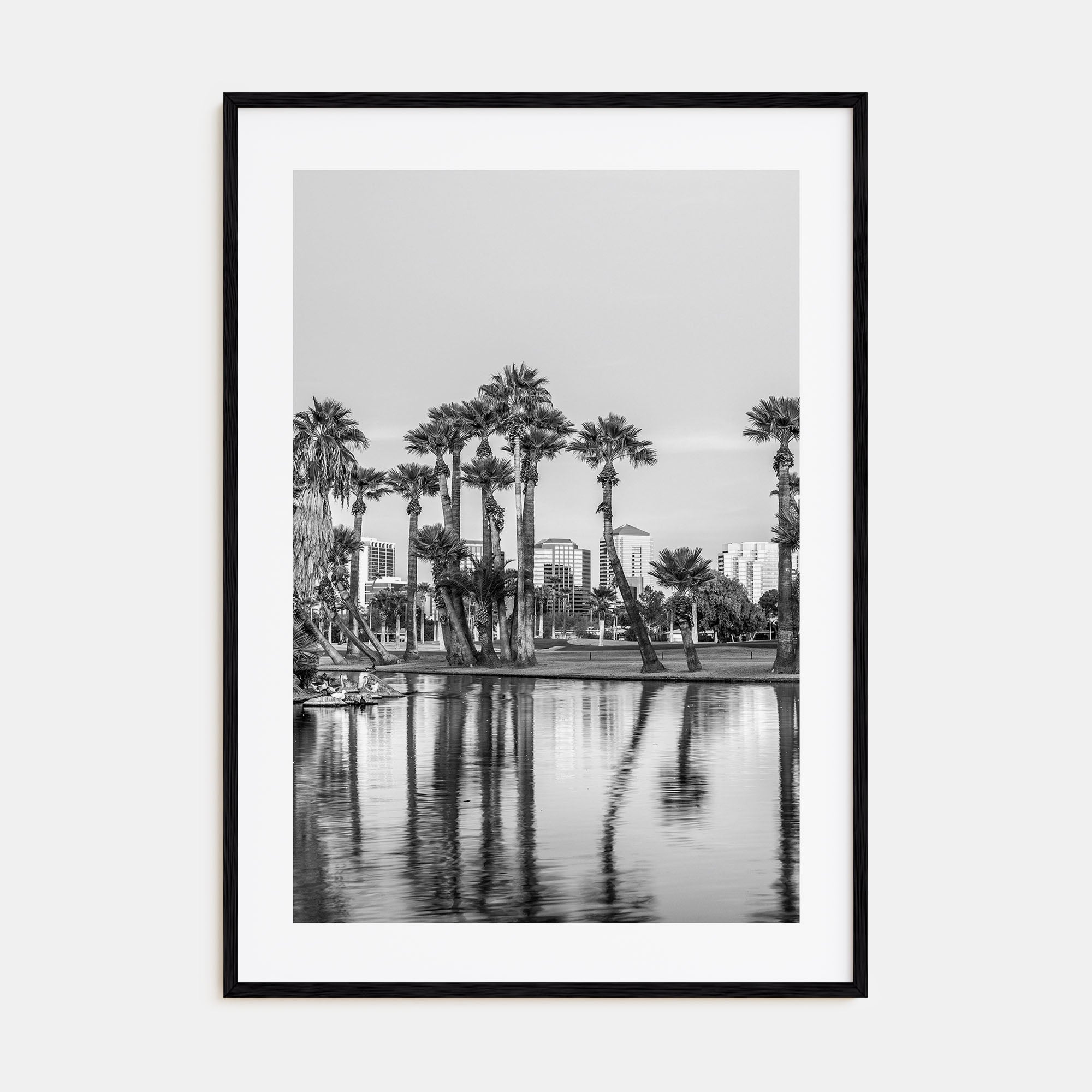 Phoenix Photo B&W No 2 Poster