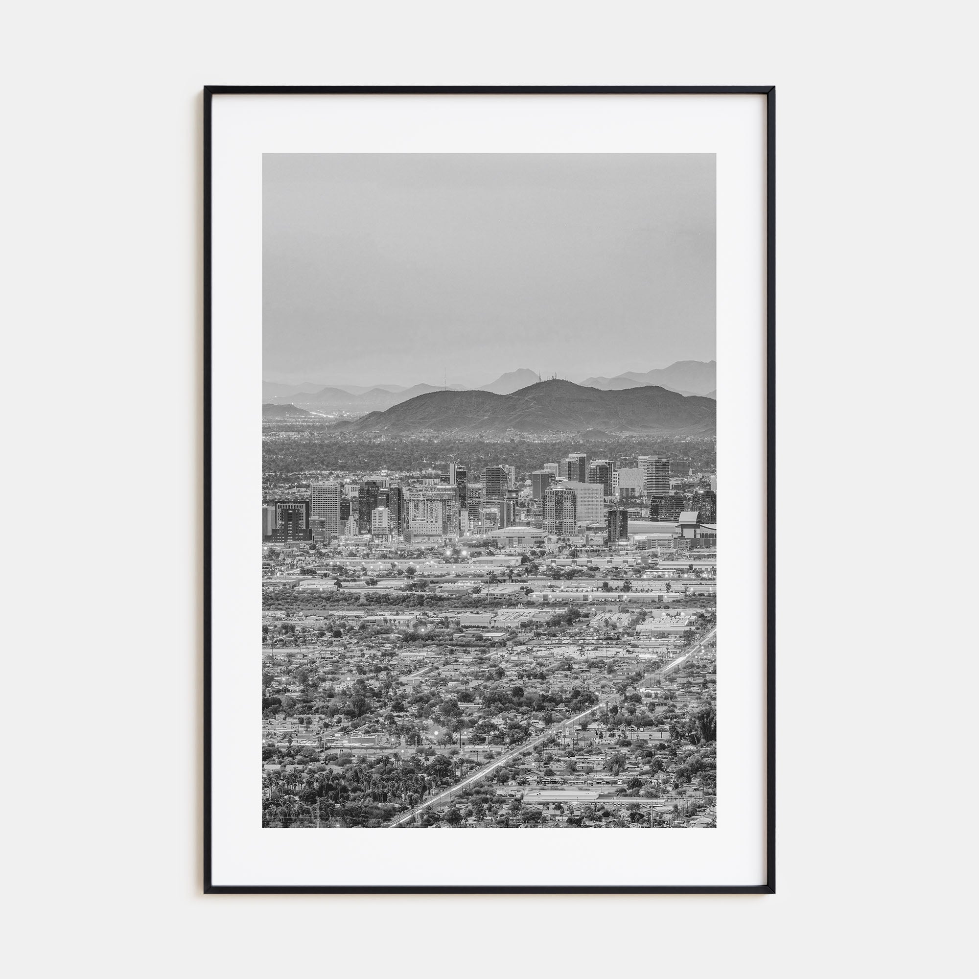 Phoenix Photo B&W No 3 Poster