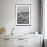 Phoenix Photo B&W No 3 Poster