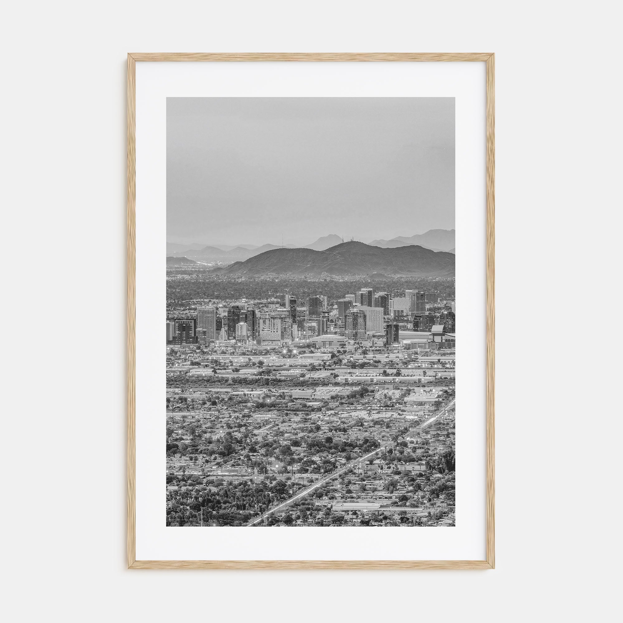 Phoenix Photo B&W No 3 Poster
