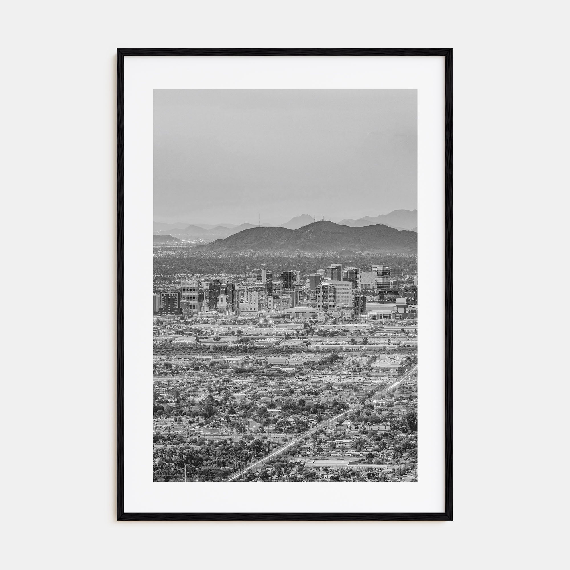 Phoenix Photo B&W No 3 Poster