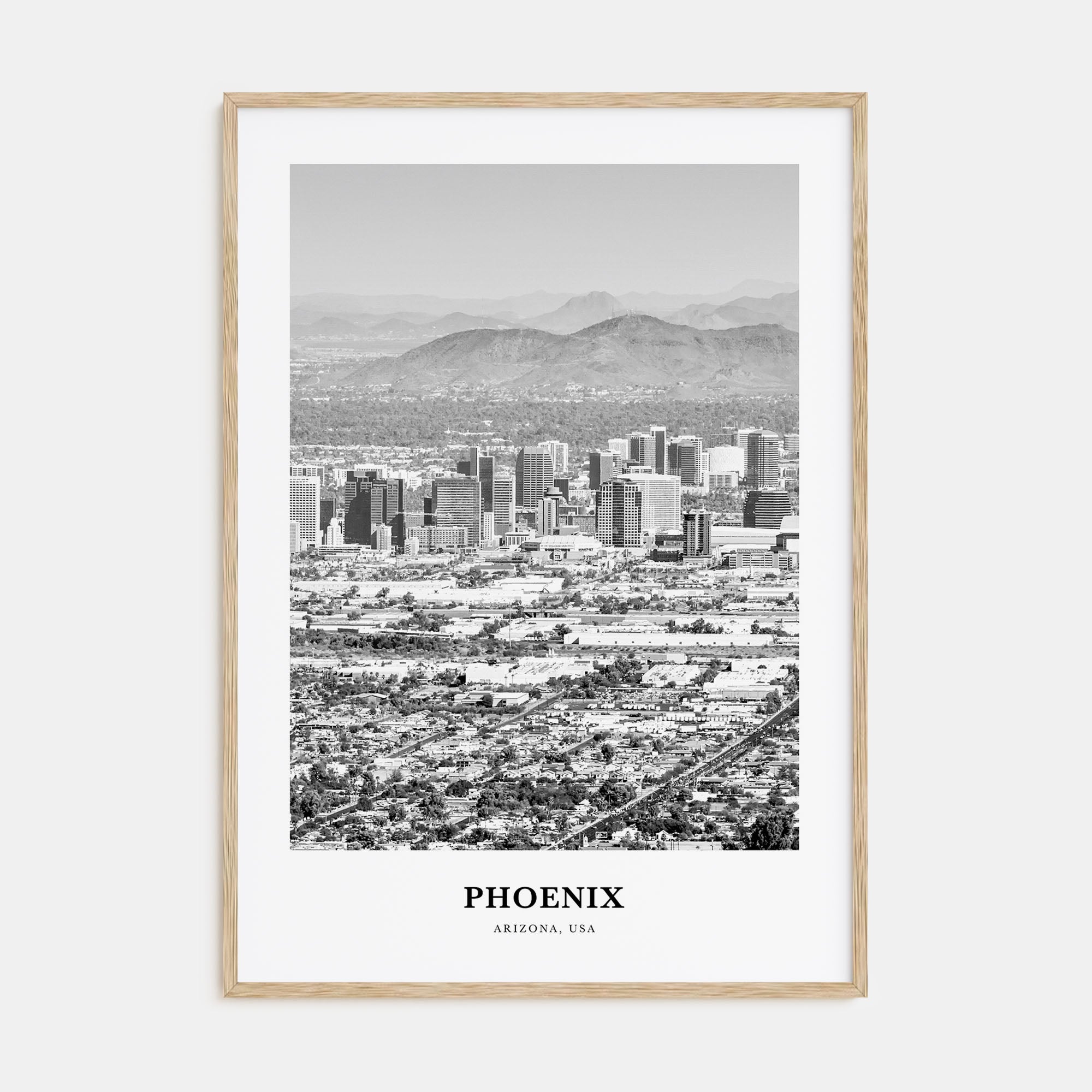 Phoenix Portrait B&W No 2 Poster