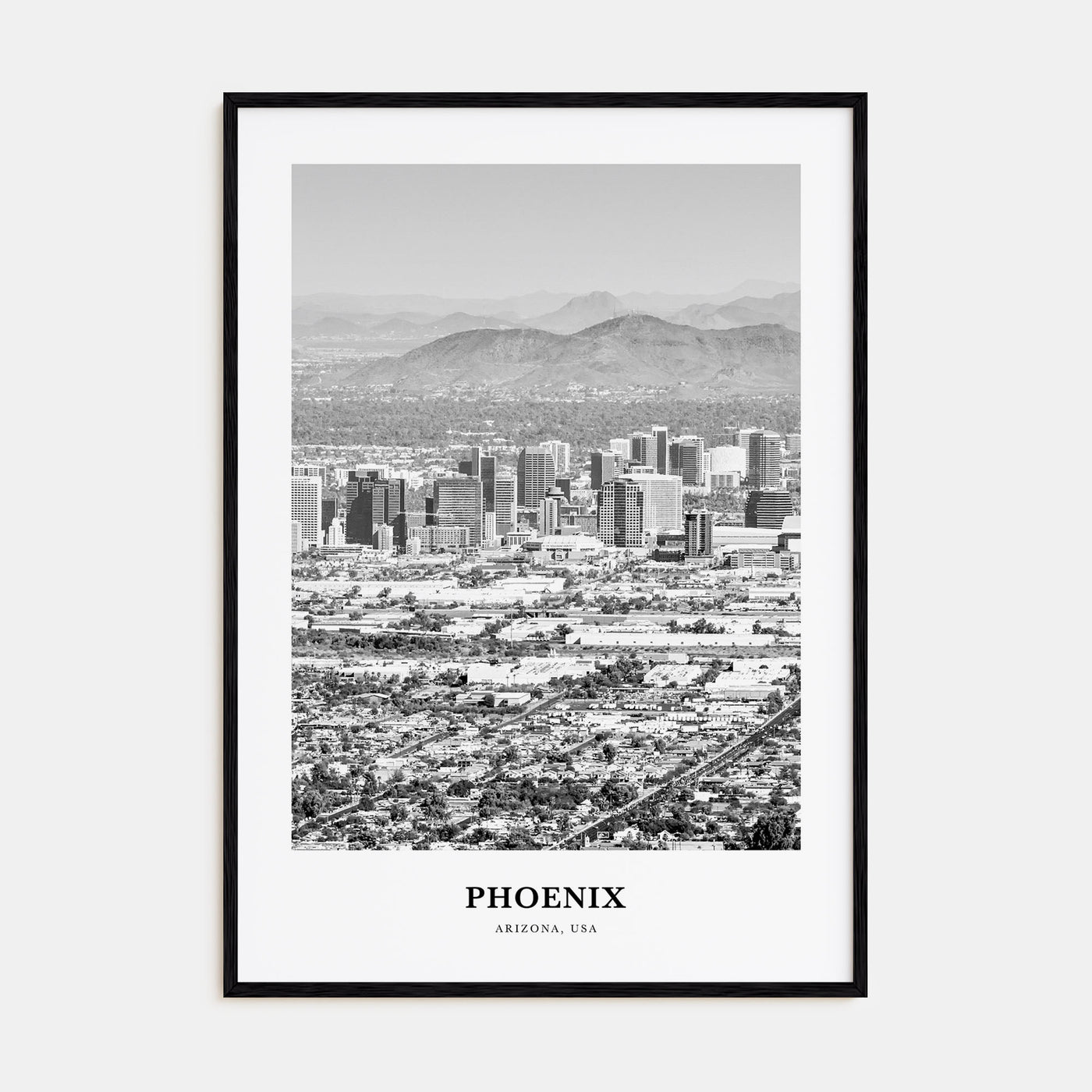 Phoenix Portrait B&W No 2 Poster