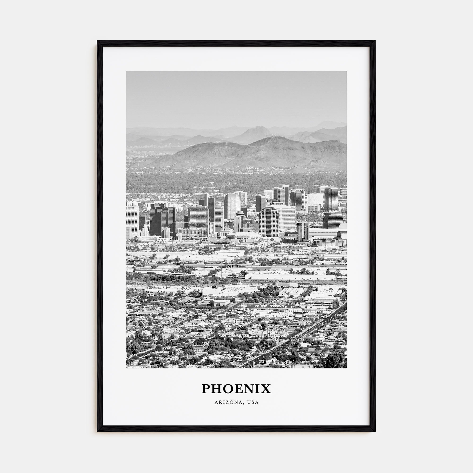 Phoenix Portrait B&W No 2 Poster