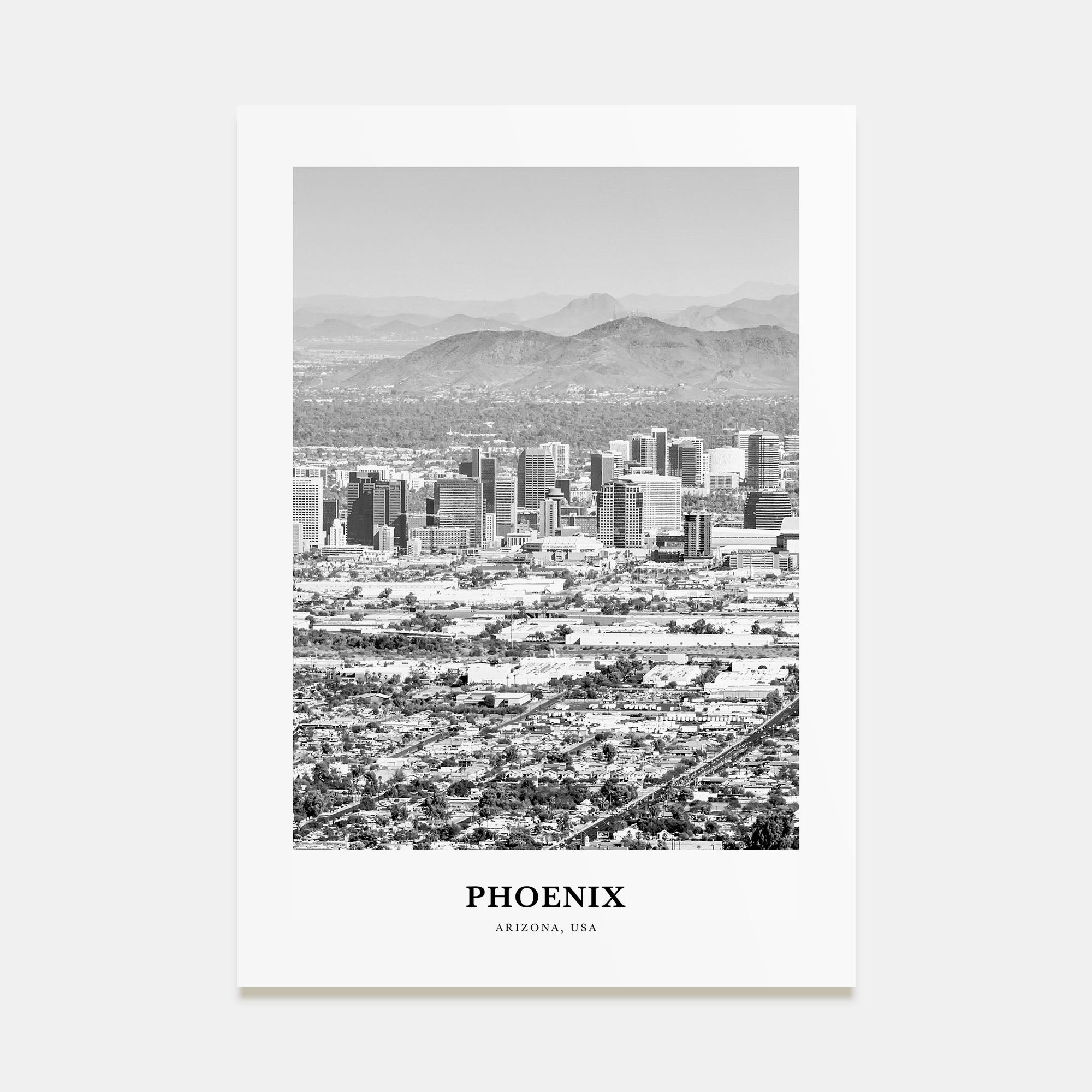 Phoenix Portrait B&W No 2 Poster