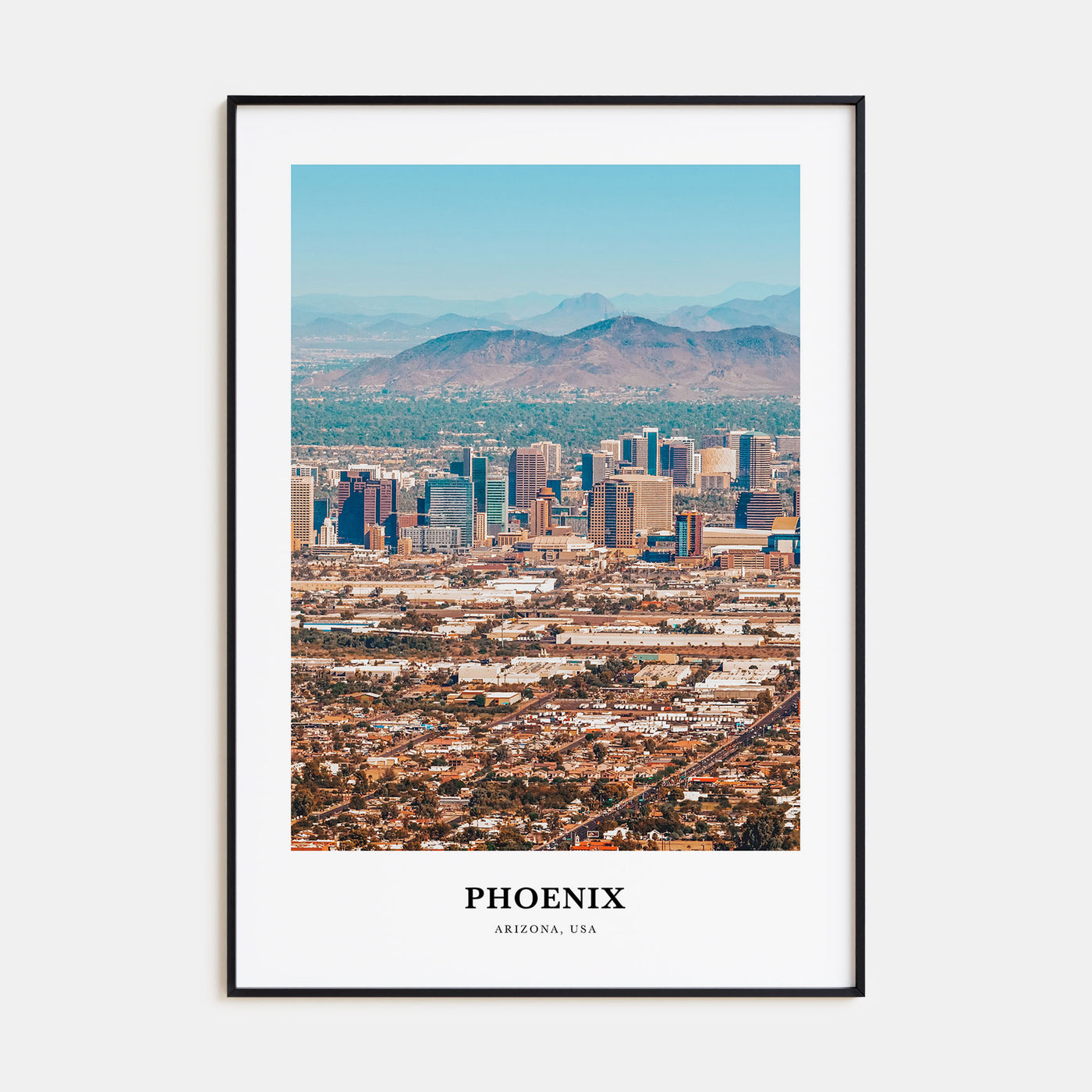 Phoenix Portrait Color No 2 Poster
