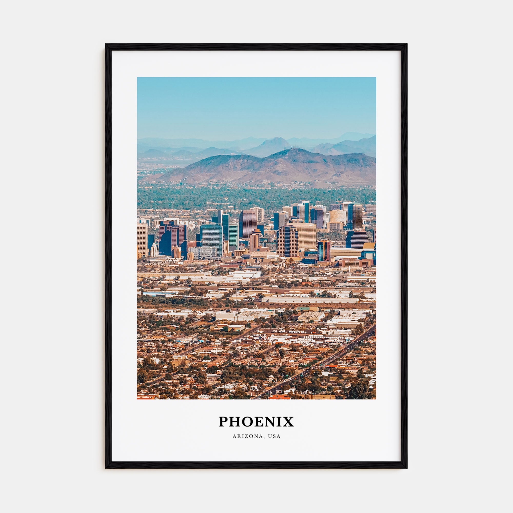Phoenix Portrait Color No 2 Poster