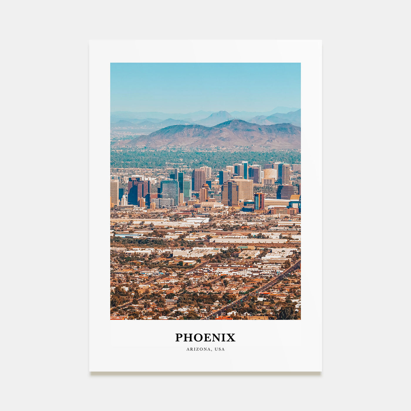 Phoenix Portrait Color No 2 Poster