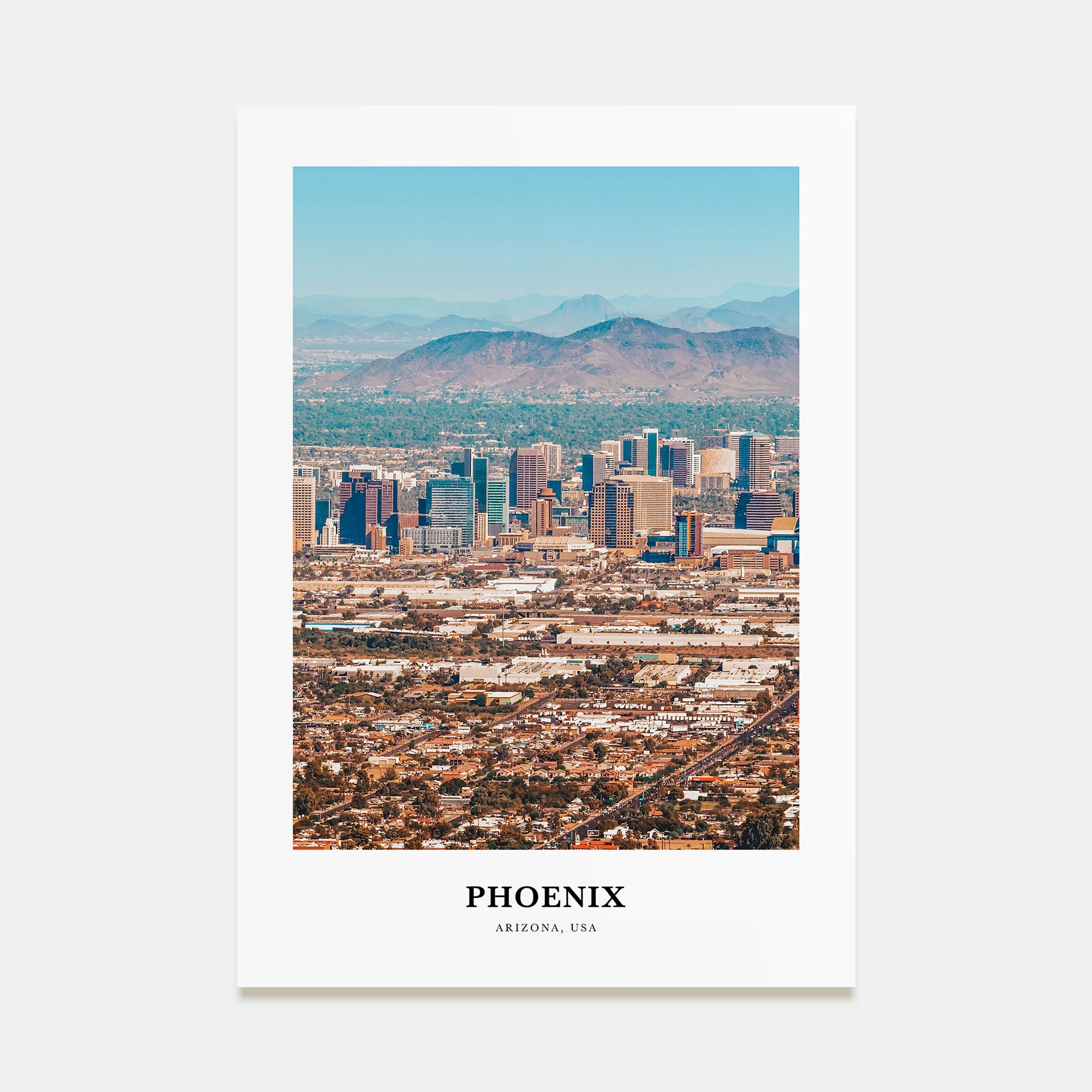 Phoenix Portrait Color No 2 Poster