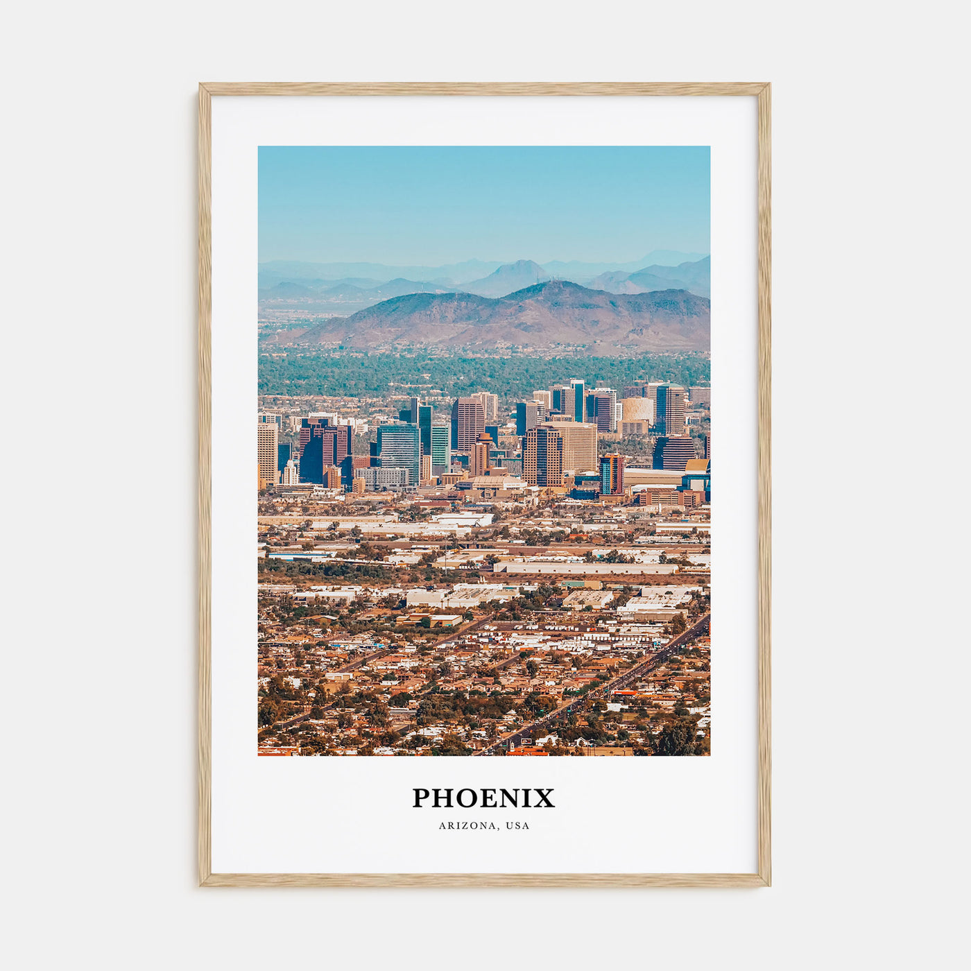 Phoenix Portrait Color No 2 Poster