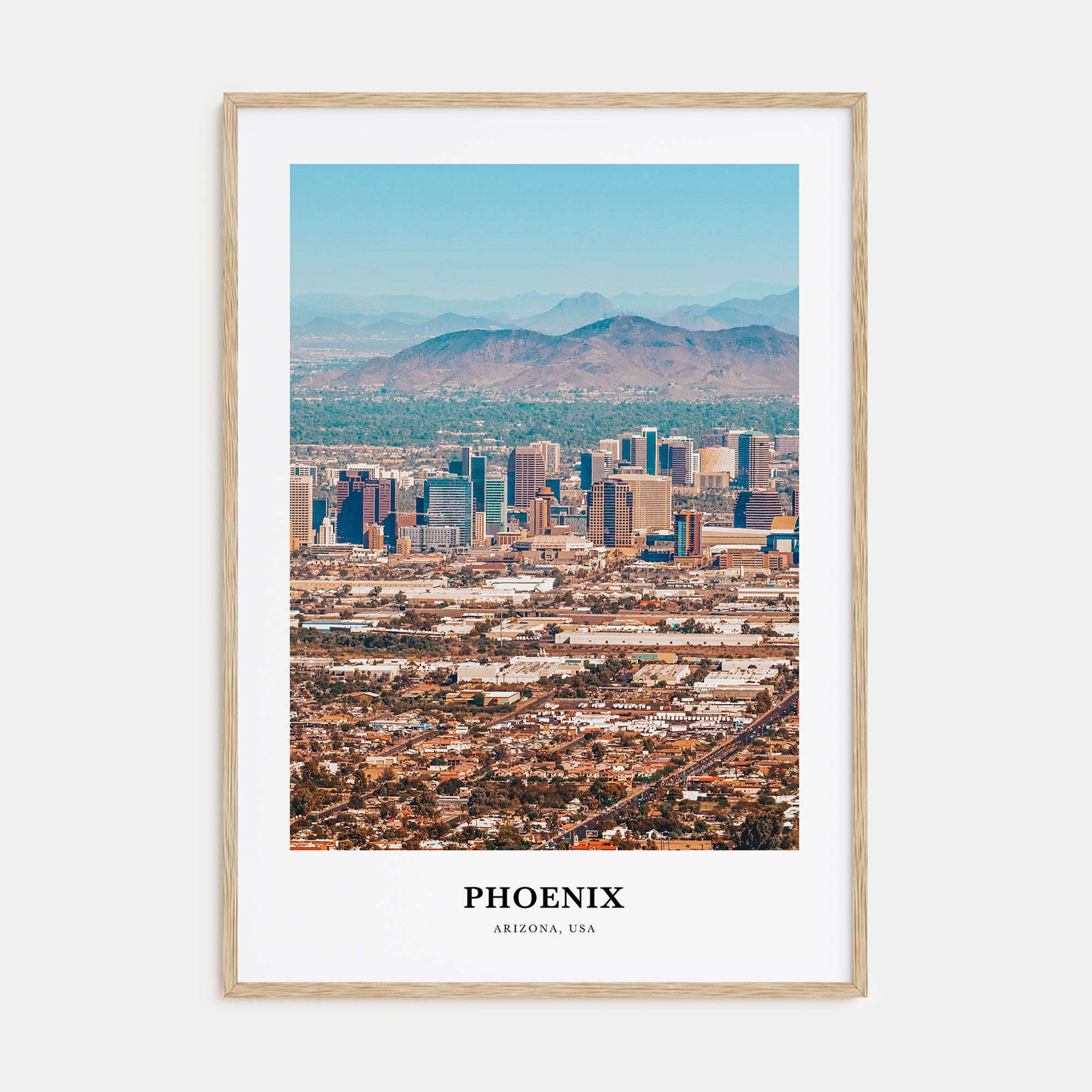 Phoenix Portrait Color No 2 Poster