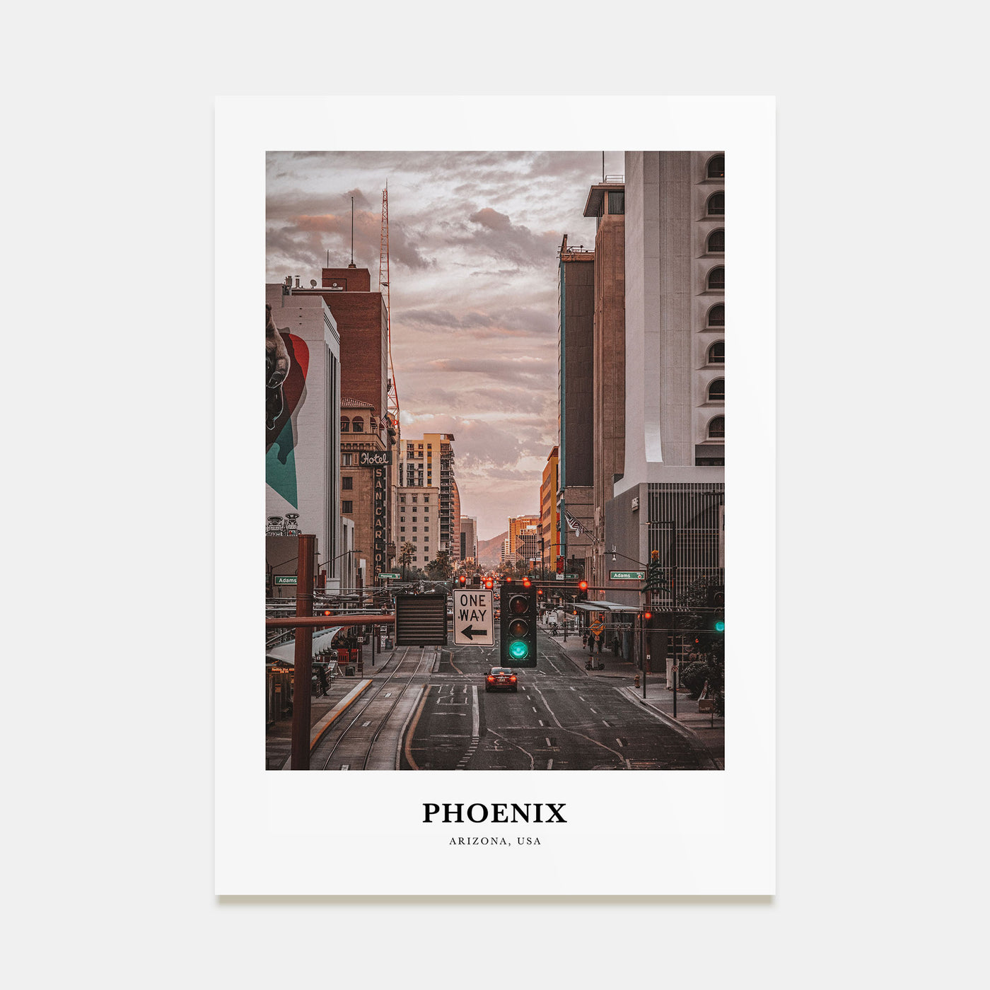 Phoenix Portrait Color No 3 Poster