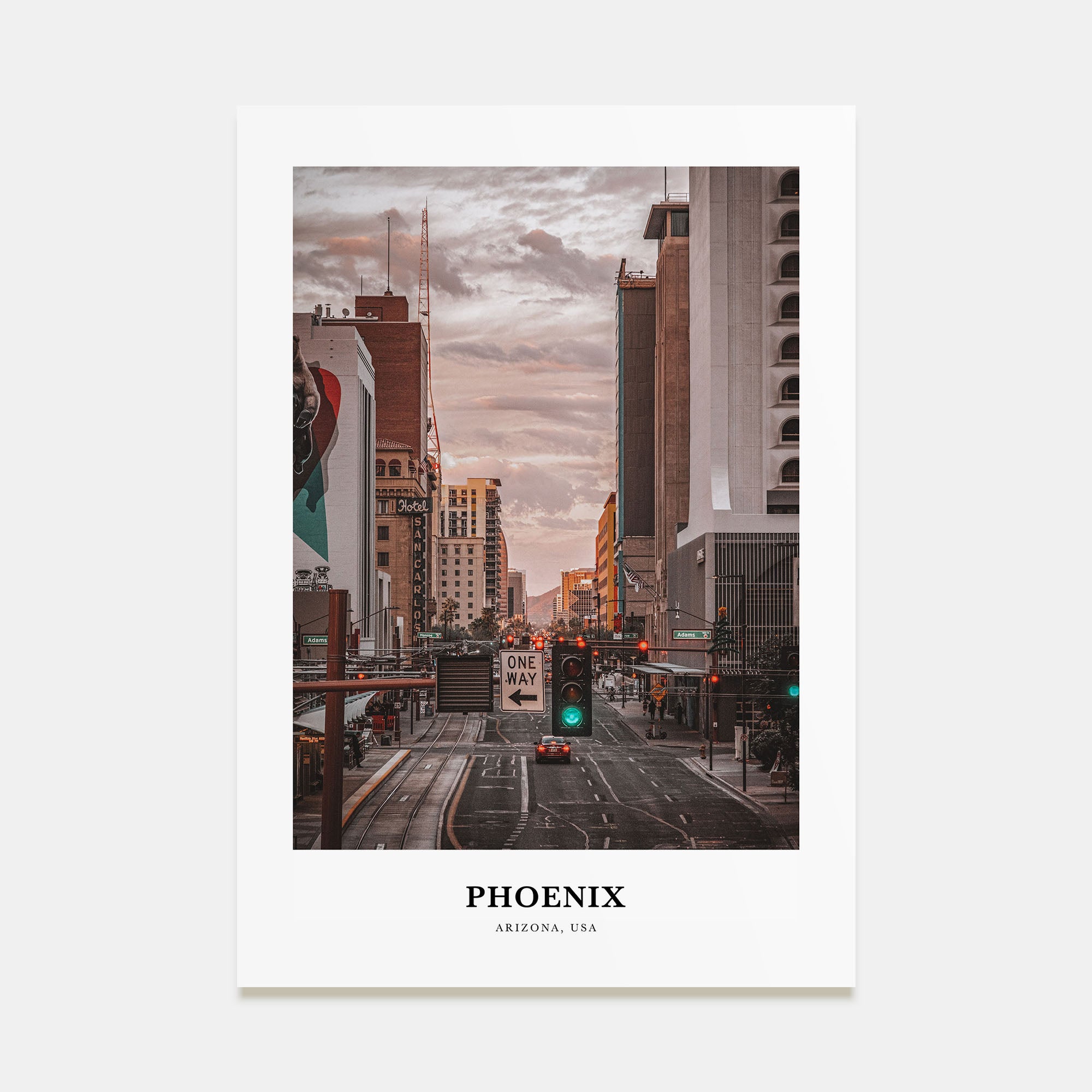 Phoenix Portrait Color No 3 Poster